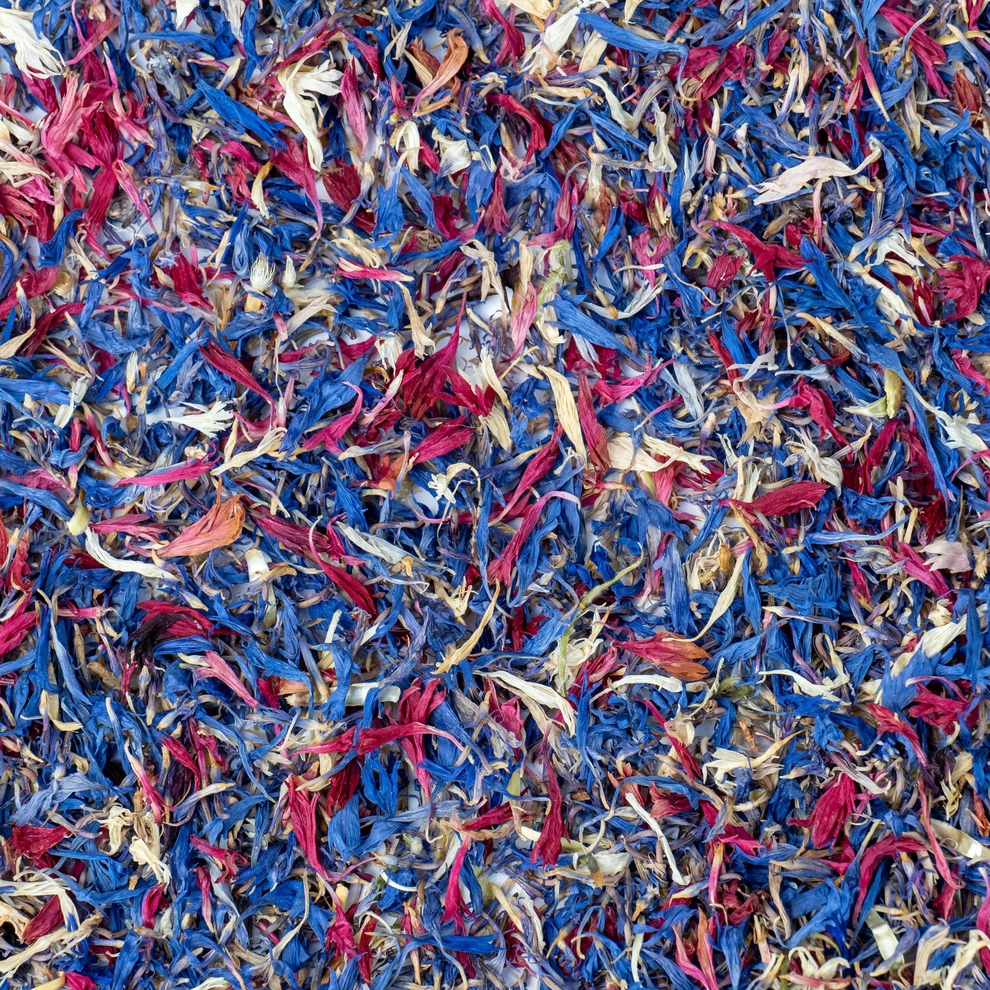 VRAC - Starry Night: Edible Flowers: Blueberries - Edible Flowers - Edible Flowers - infusion.organic