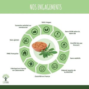 fenugreek - capsules - Supplements - Supplements - infusion.organic