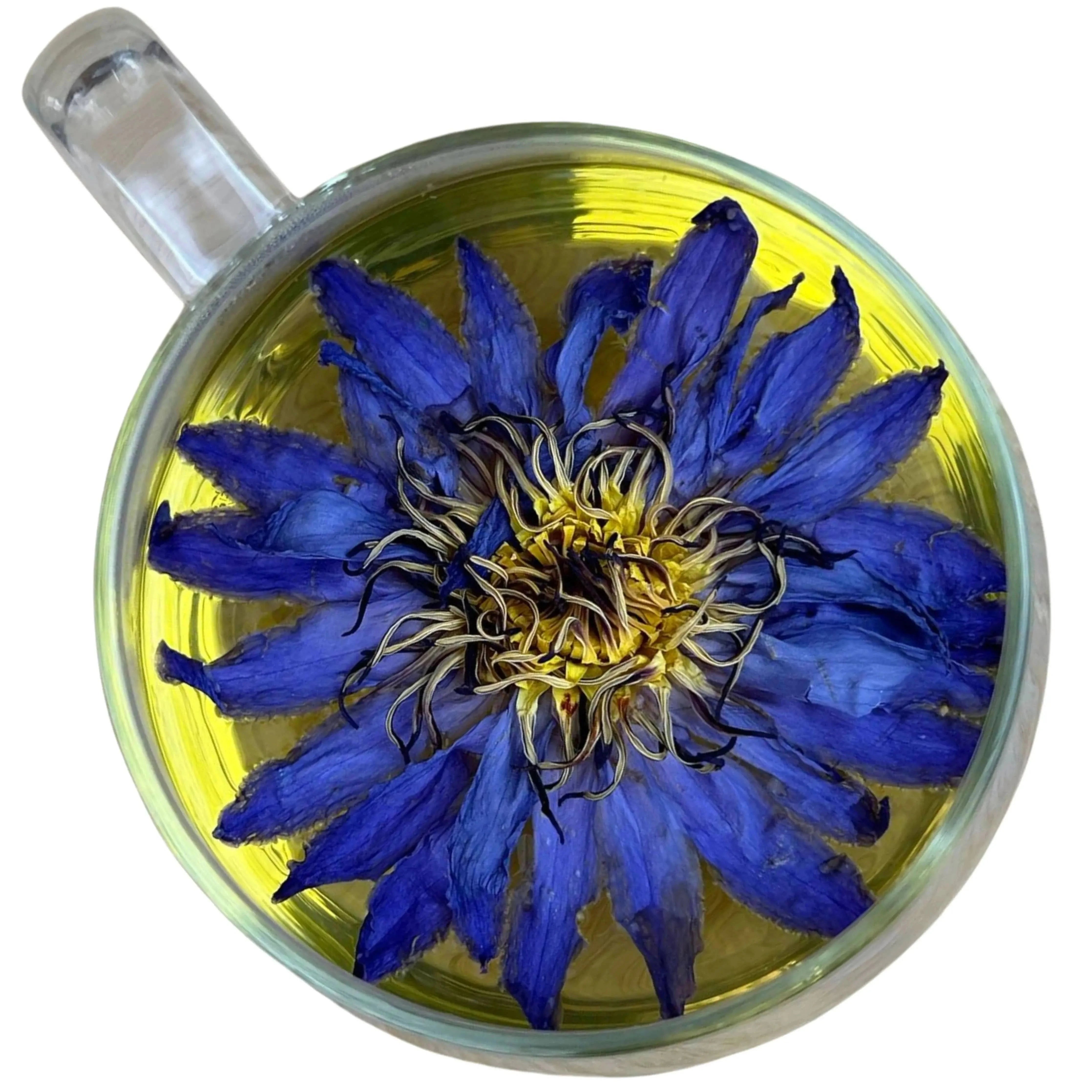 Friendly star - - - infusion.organic