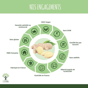 ginger - capsules - Supplements - Supplements - infusion.organic