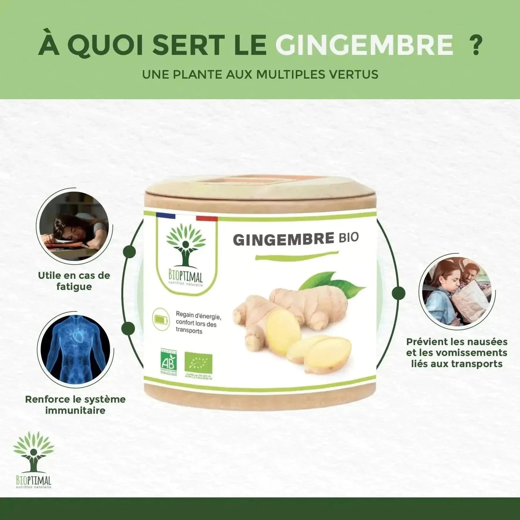 ginger - capsules - Supplements - Supplements - infusion.organic