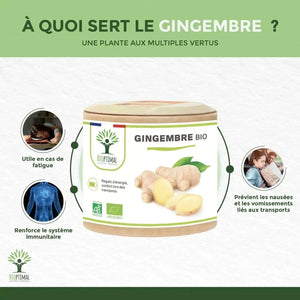 ginger - capsules - Supplements - Supplements - infusion.organic