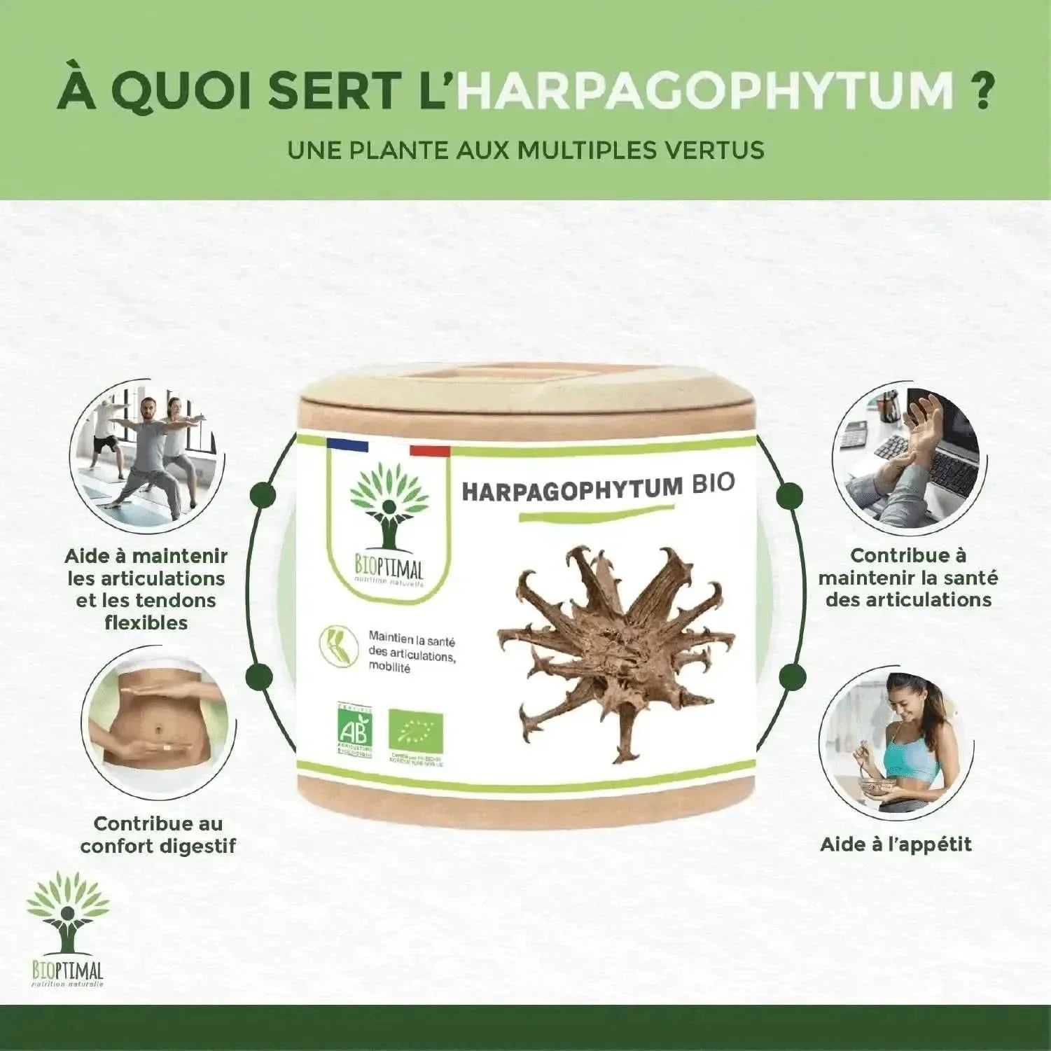 Harpagophytum Bio - capsules - Supplements - Adaptogens, Supplements - infusion.organic