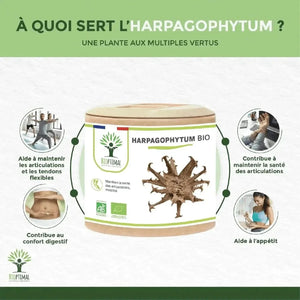 Harpagophytum Bio - capsules - Supplements - Adaptogens, Supplements - infusion.organic