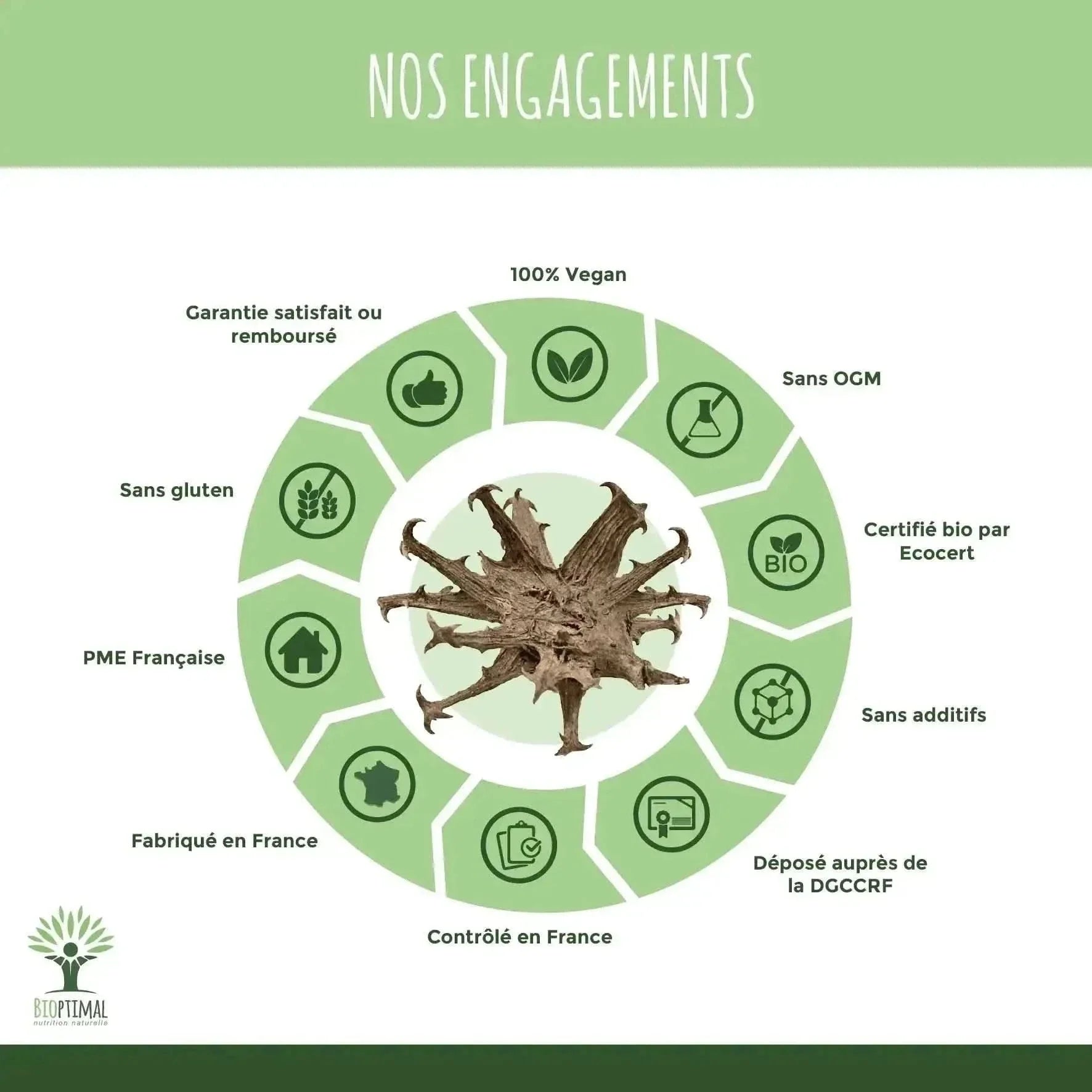 Harpagophytum Bio - capsules - Supplements - Adaptogens, Supplements - infusion.organic