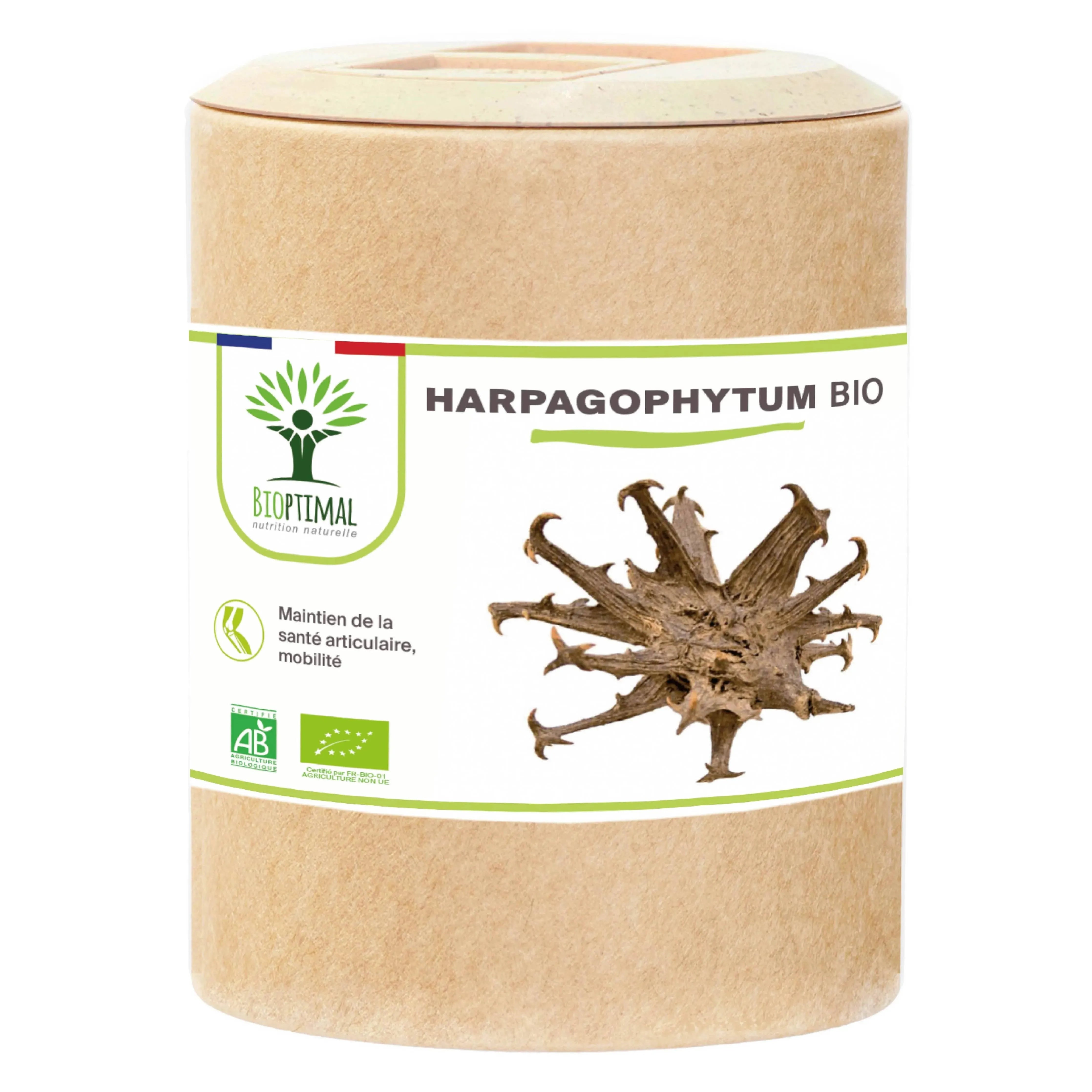 Harpagophytum Bio - Dietary supplement - in capsules Supplement Bioptimal Tisan - infusion.organic