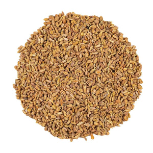Anisseed - Herbal Tea - Herbal Tea - infusion.organic