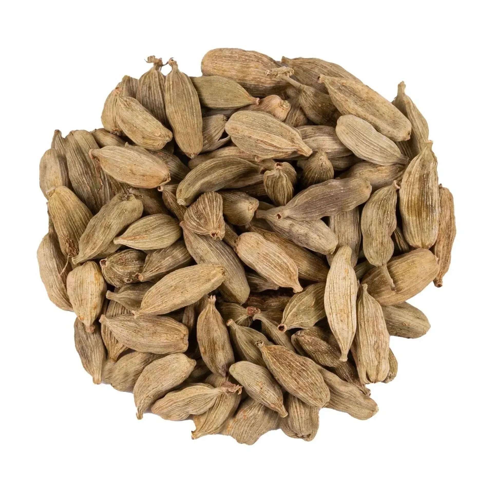 Cardamom - Herbal tea - Herbal tea, Spices - infusion.organic