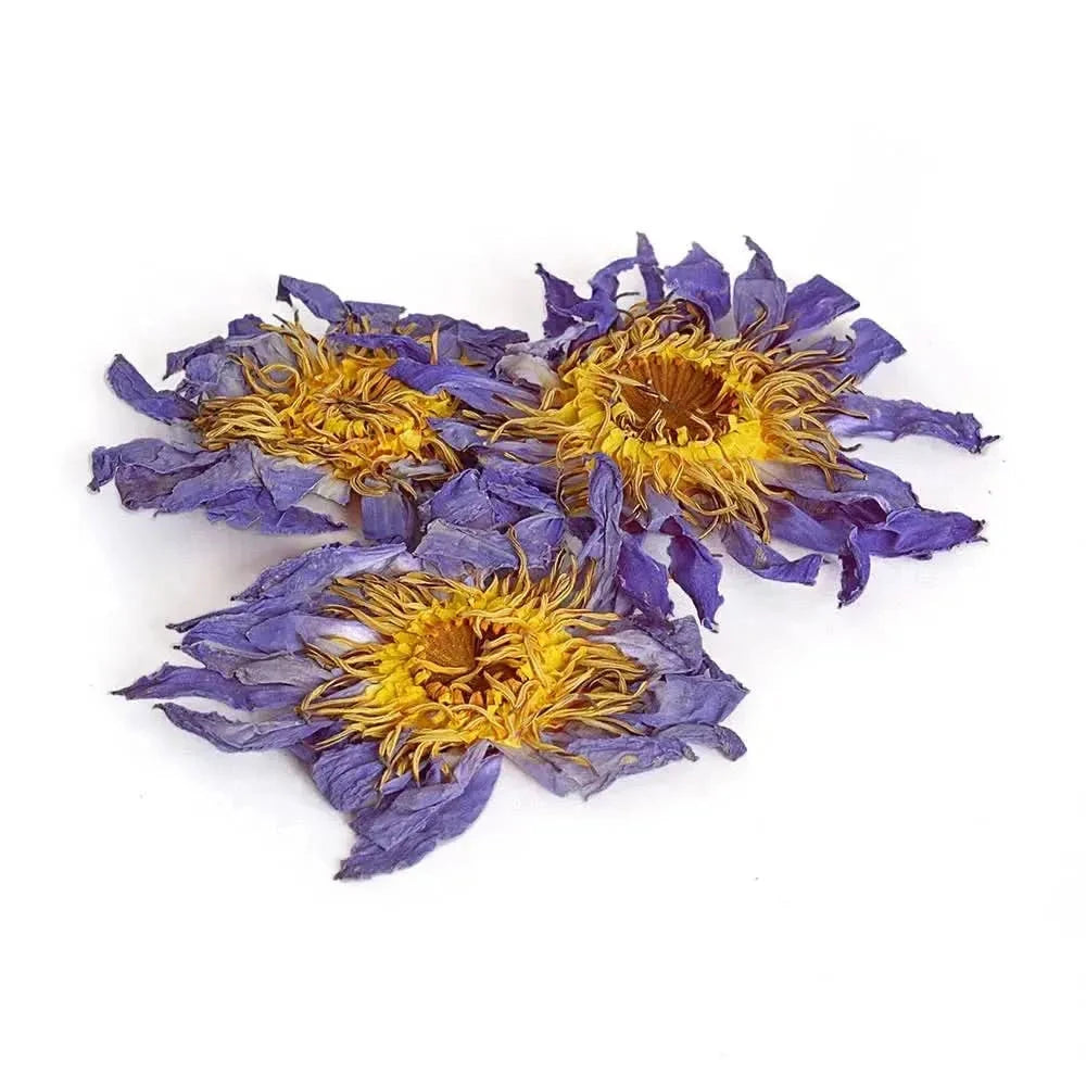 Dried Blue Lotus Flower - Herbal tea - Herbal tea - infusion.organic