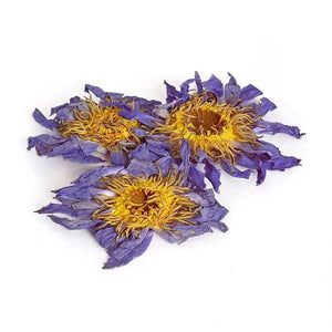 Dried Blue Lotus Flower - Herbal tea - Herbal tea - infusion.organic