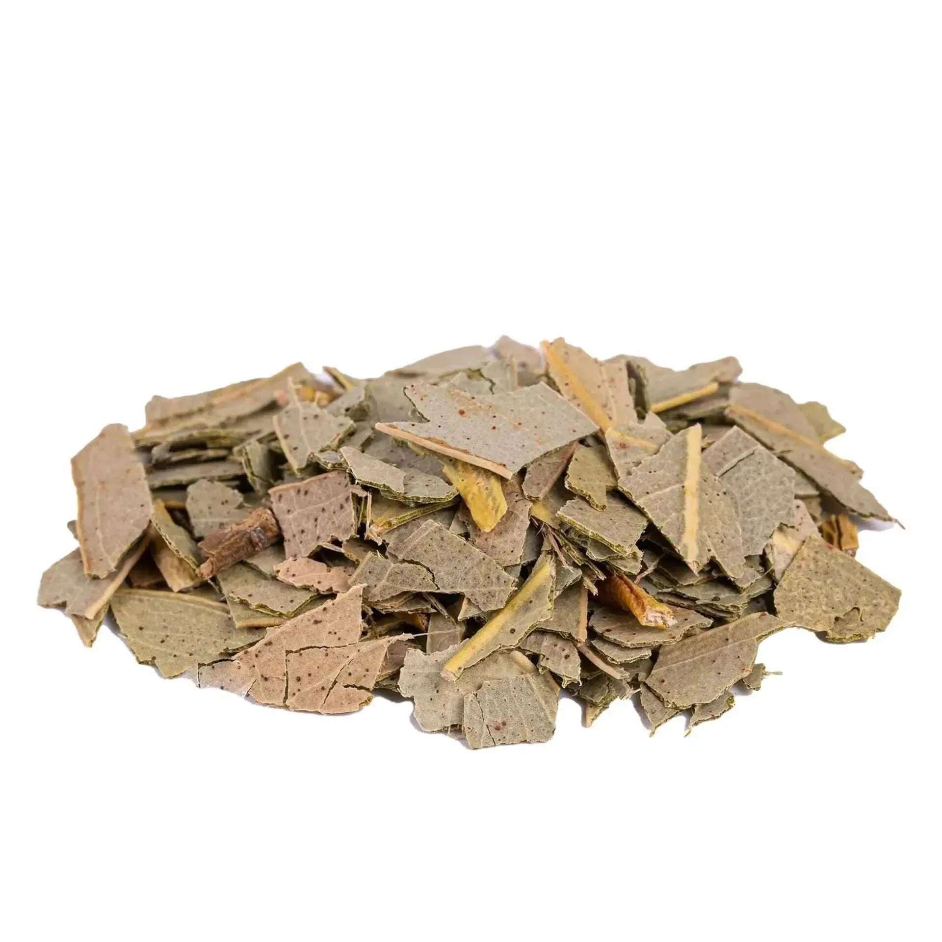 Eucalyptus Leaves - Herbal Tea - Herbal Tea - infusion.organic
