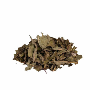 Peppermint - Herbal Tea - Herbal Tea - infusion.organic