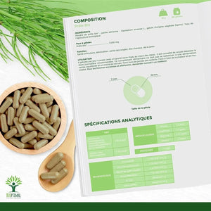horsetail - capsules - Supplements - Supplements - infusion.organic