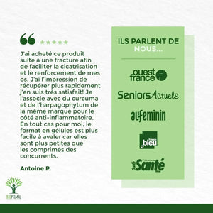 horsetail - capsules - Supplements - Supplements - infusion.organic