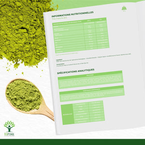 Japanese Matcha Tea Powder - Green Tea, Matcha - Green Tea, Matcha, Supplements - infusion.organic