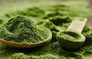 Japanese Matcha Tea Powder - Green Tea, Matcha - Green Tea, Matcha, Supplements - infusion.organic