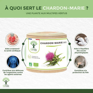 Milk Thistle - Capsules - Supplements - Supplements - infusion.organic