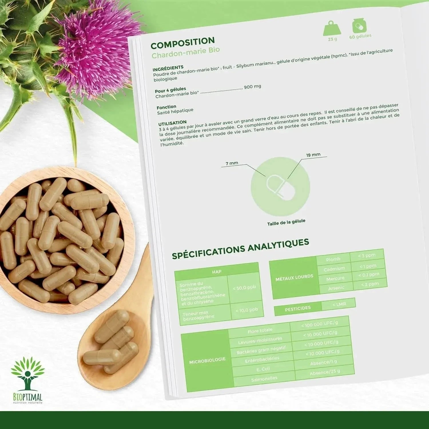 Milk Thistle - Capsules - Supplements - Supplements - infusion.organic