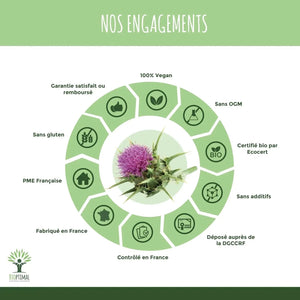 Milk Thistle - Capsules - Supplements - Supplements - infusion.organic