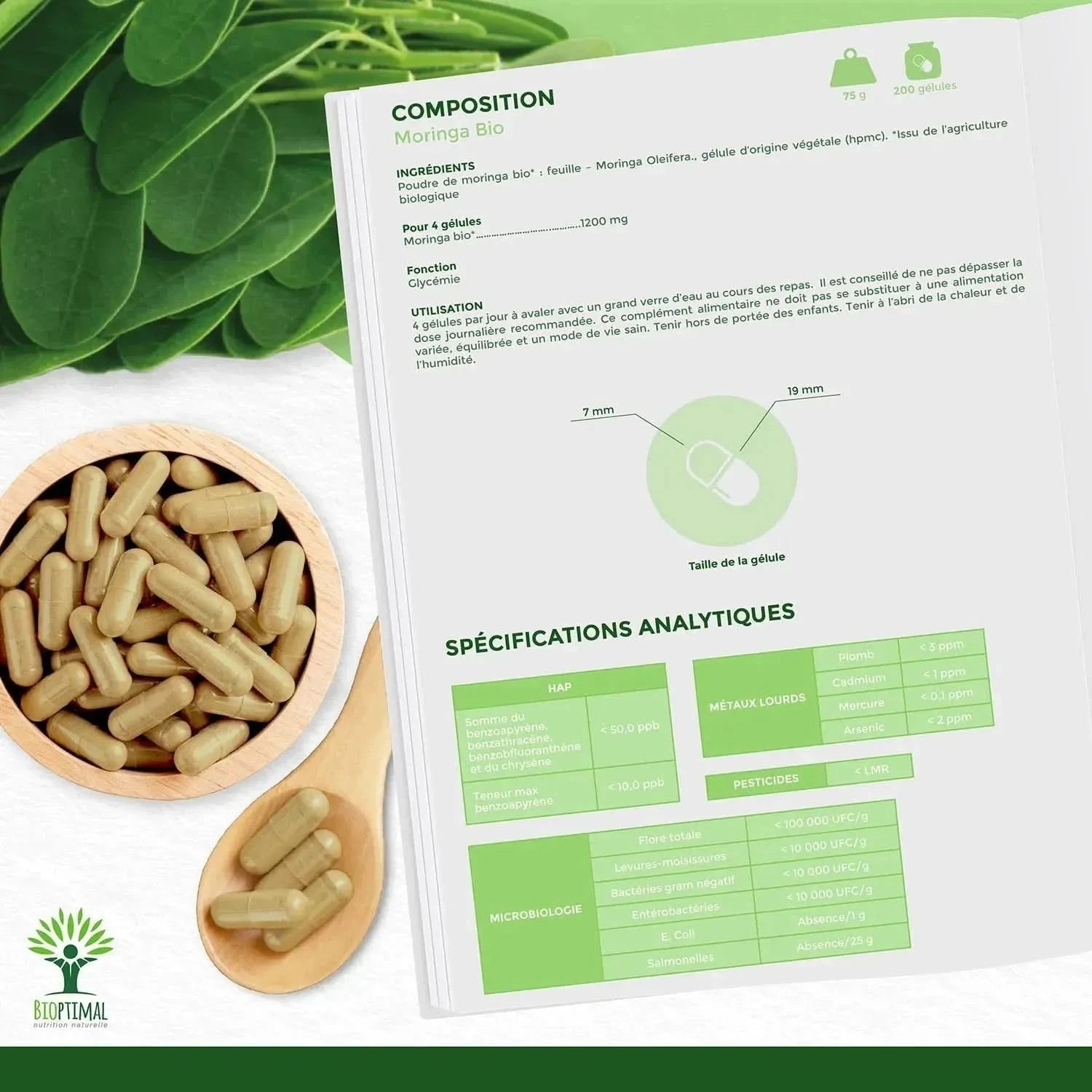 Moringa - capsules - Supplements - Supplements - infusion.organic