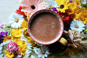 Choc Me Up | Mushroom Cacao, Ceremonial Grade with Reishi & Chaga - Magical Tea - Cacao, Magical Tea - infusion.organic