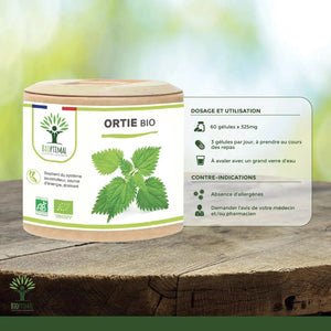 nettle - capsules - Supplements - Supplements - infusion.organic