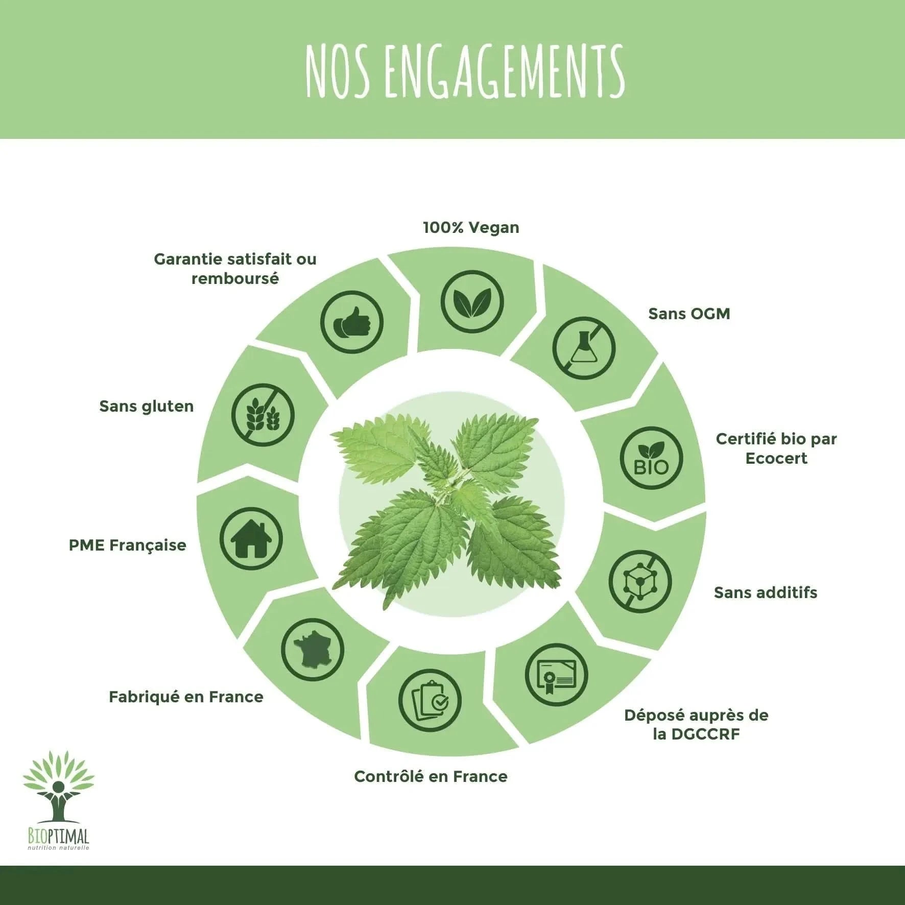 nettle - capsules - Supplements - Supplements - infusion.organic