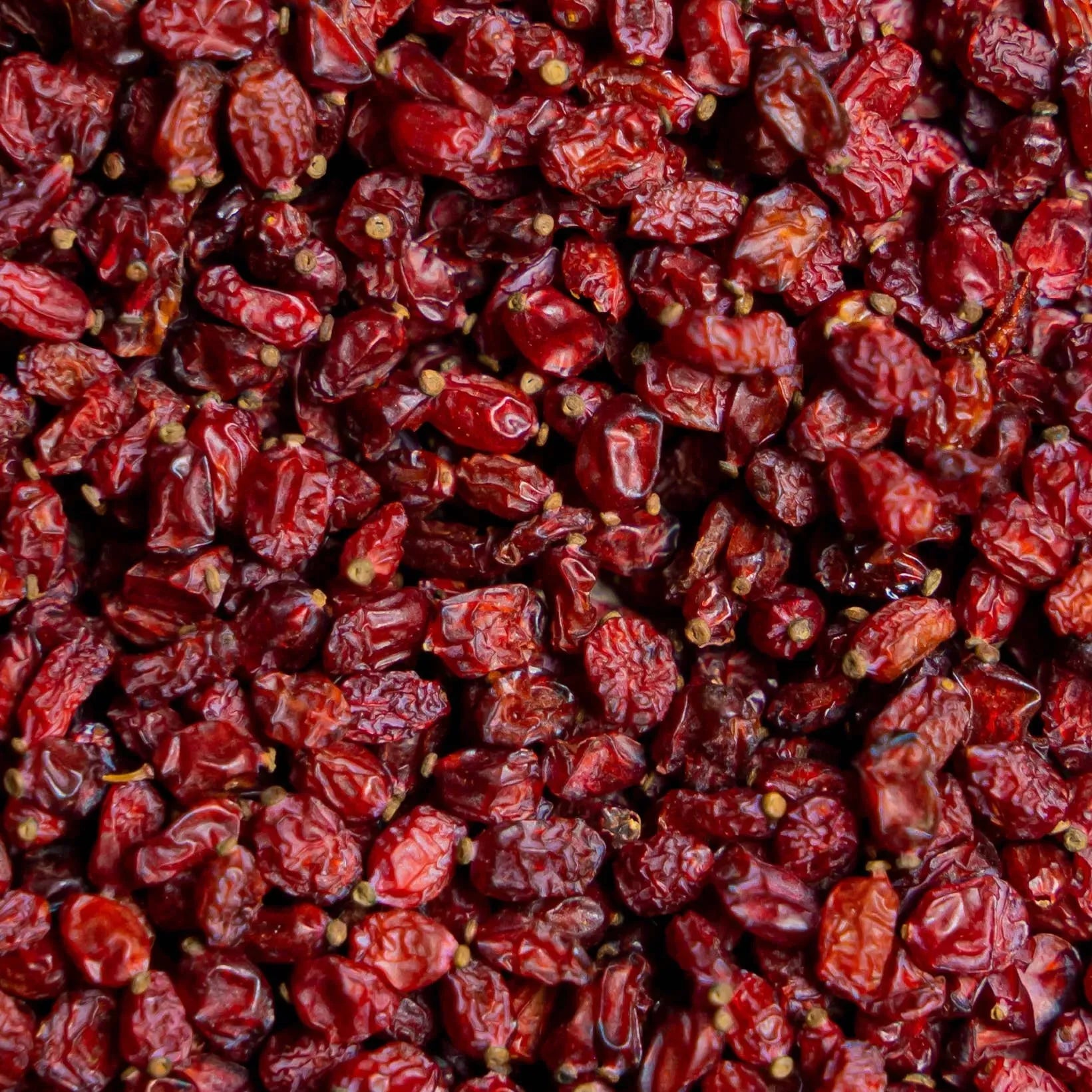 Organic barberry VRAC barberries Spice RAYA Tisan - infusion.organic