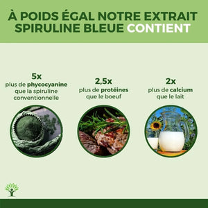 Phycocyanin - Blue Spirulina Extract Powder - Supplements - SupplementsMinerals - infusion.organic