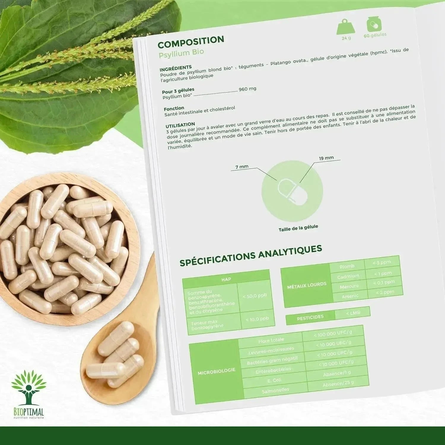 Psyllium Bio - capsules - Supplements - Supplements - infusion.organic