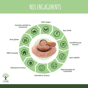 Psyllium Bio - capsules - Supplements - Supplements - infusion.organic