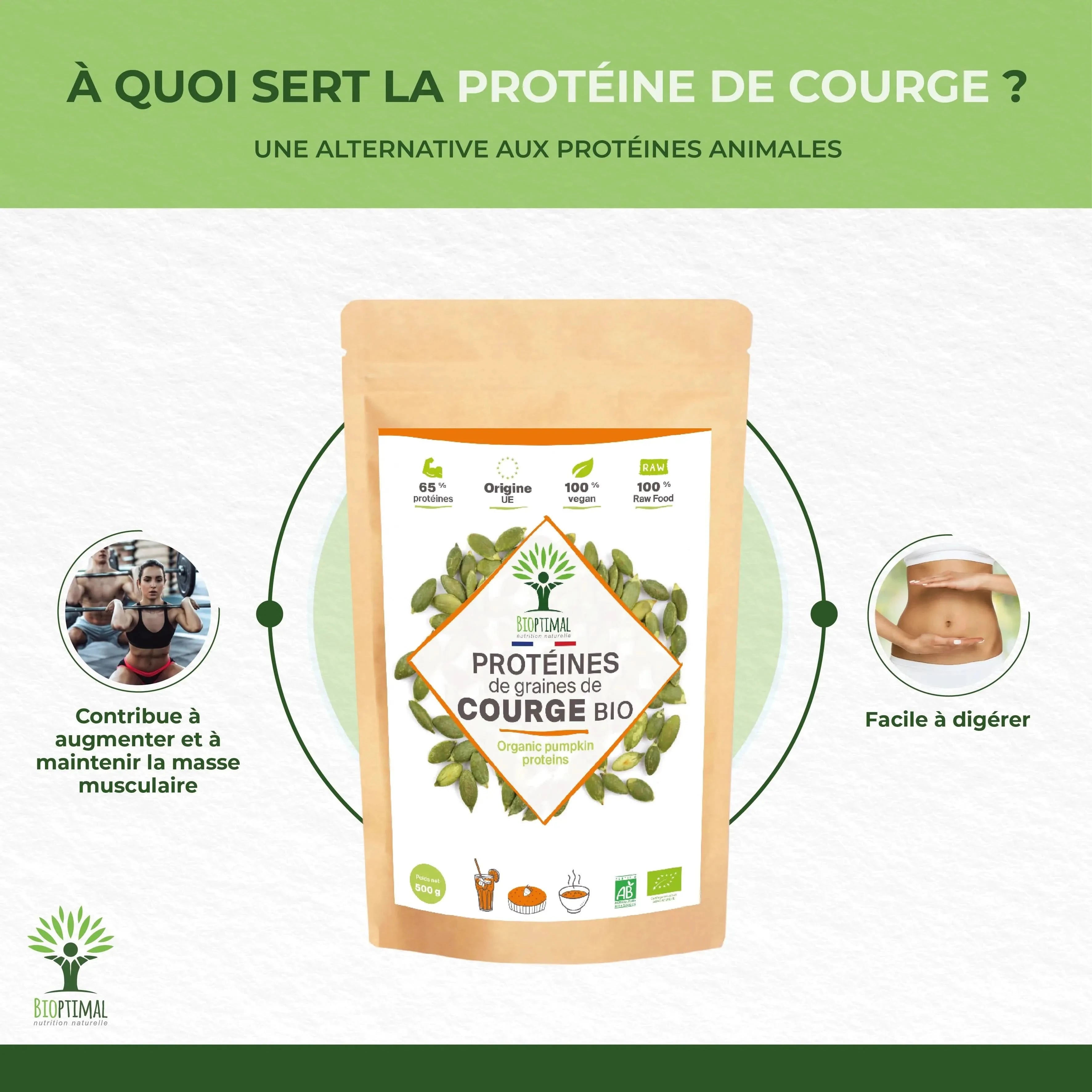Pumpkin Seed Protein Powder - Supplements - Supplements - infusion.organic