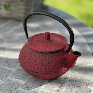 Red cast iron teapot 300 ml Teaware Tea soul infusion.organic