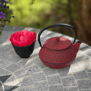 Red cast iron teapot 300 ml Teaware Tea soul infusion.organic