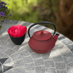 Red cast iron teapot 300 ml Teaware Tea soul infusion.organic