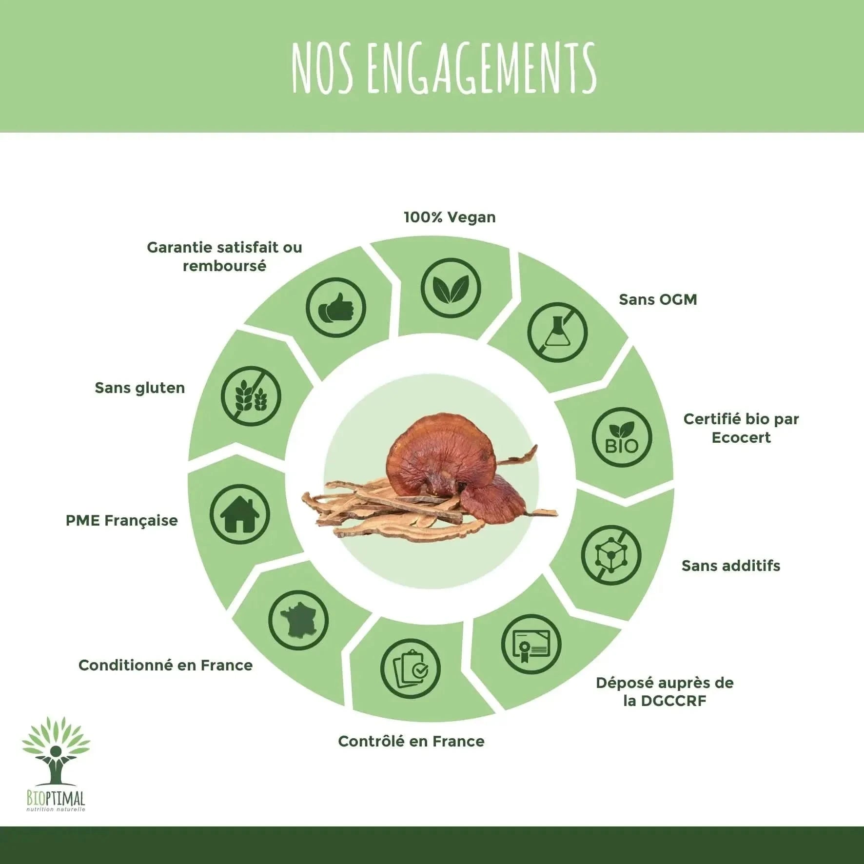 Reishi powder - Supplements, Mushrooms - Mushrooms, Supplements - infusion.organic
