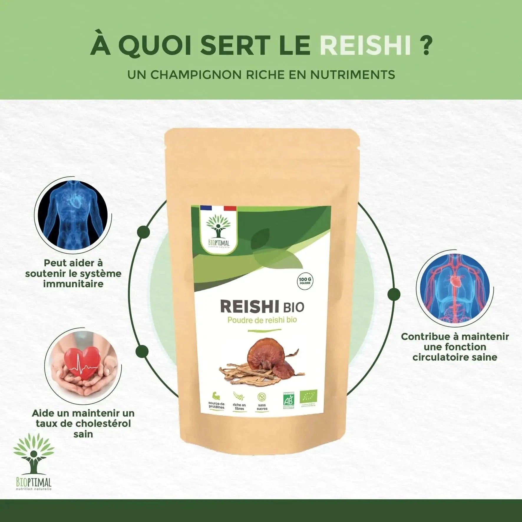 Reishi powder - Supplements, Mushrooms - Mushrooms, Supplements - infusion.organic