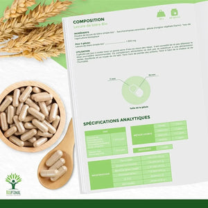 Revivifiable Brewer's Yeast - capsules - Supplements - Minerals, Supplements - infusion.organic