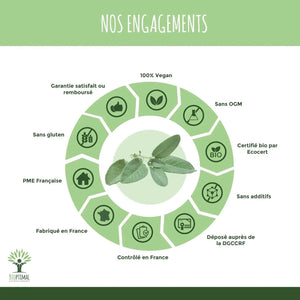 sage - capsules - Supplements - Supplements - infusion.organic
