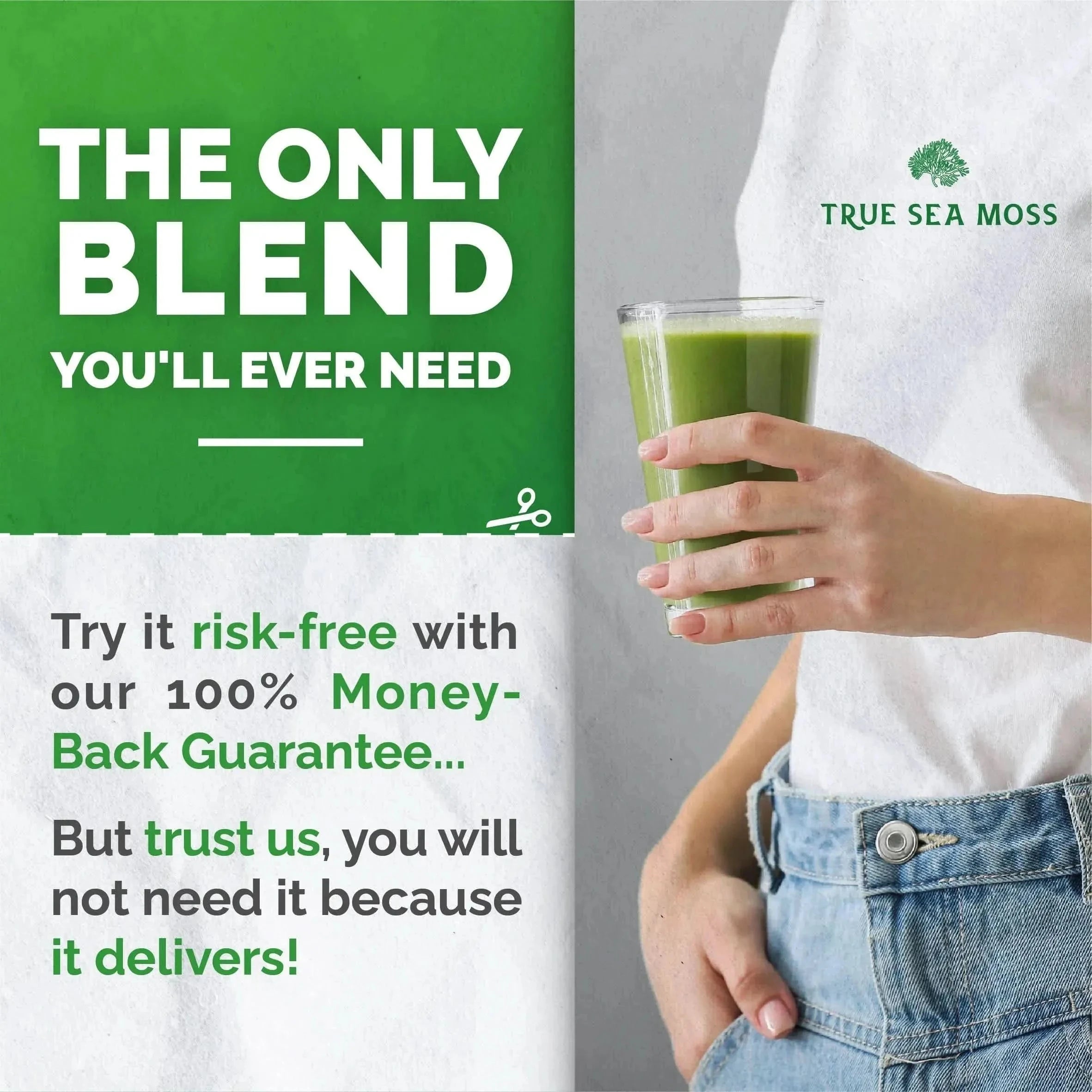 Sea Moss Green Superfood Blend with Spirulina, Ashwagandha - Sea Moss - Minerals, Supplement - infusion.organic