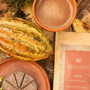 "Signature Blend" Ceremonial Cacao & Traditional Maya Spices Herbal Cacao Tisan - infusion.organic