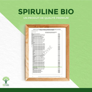 Spirulina Powder - Supplements - Supplements - infusion.organic