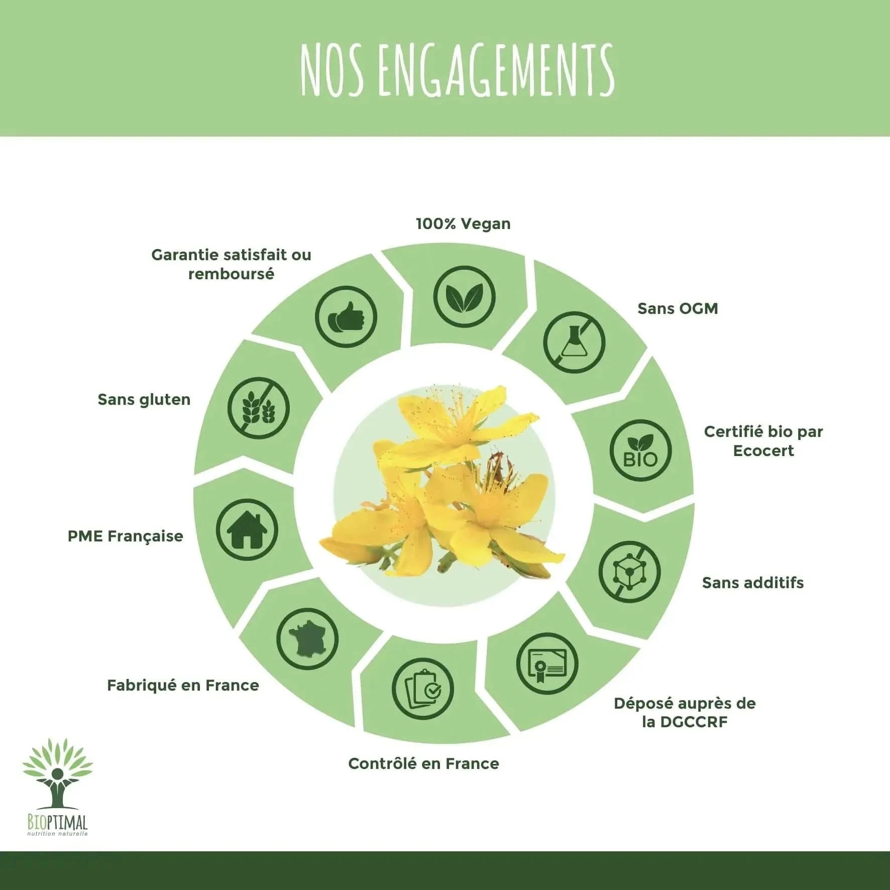 St. John's Wort - capsules - Supplements - Supplements - infusion.organic