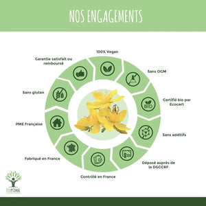St. John's Wort - capsules - Supplements - Supplements - infusion.organic