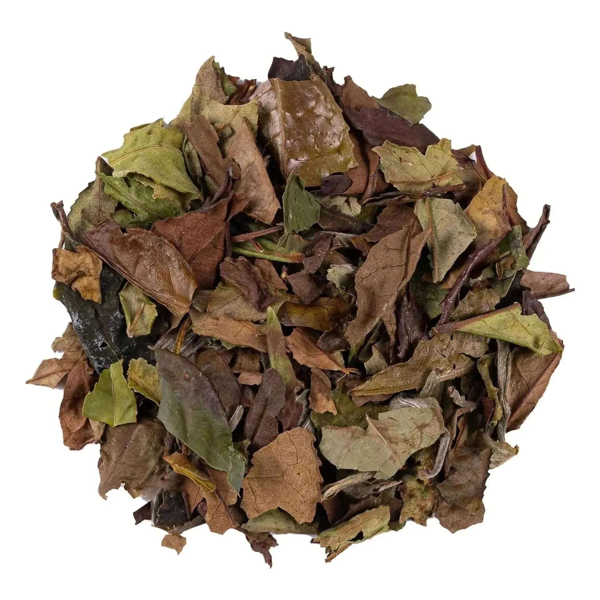 China Pai Mu Tan - White Tea - White Tea - infusion.organic