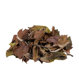 China Pai Mu Tan - White Tea - White Tea - infusion.organic